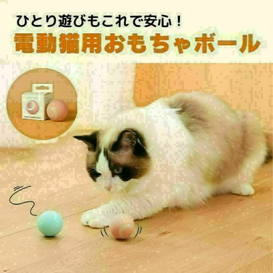 猫おもちゃ 猫じゃらし 電動ボール 猫オモチャ ペット留守番 USB充電式 子猫 その他のペット用品(猫)の商品写真