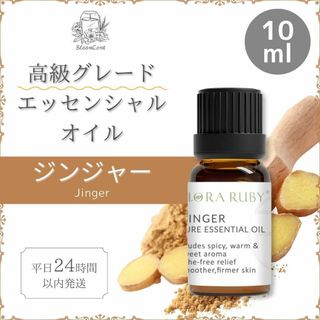 BloomCent 高グレード エッセンシャルオイル ジンジャー 精油 アロマ(エッセンシャルオイル（精油）)