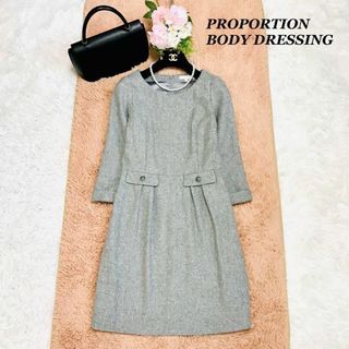 プロポーションボディドレッシング(PROPORTION BODY DRESSING)の✽美品✽ proportion body dressing ワンピース　1(ひざ丈ワンピース)