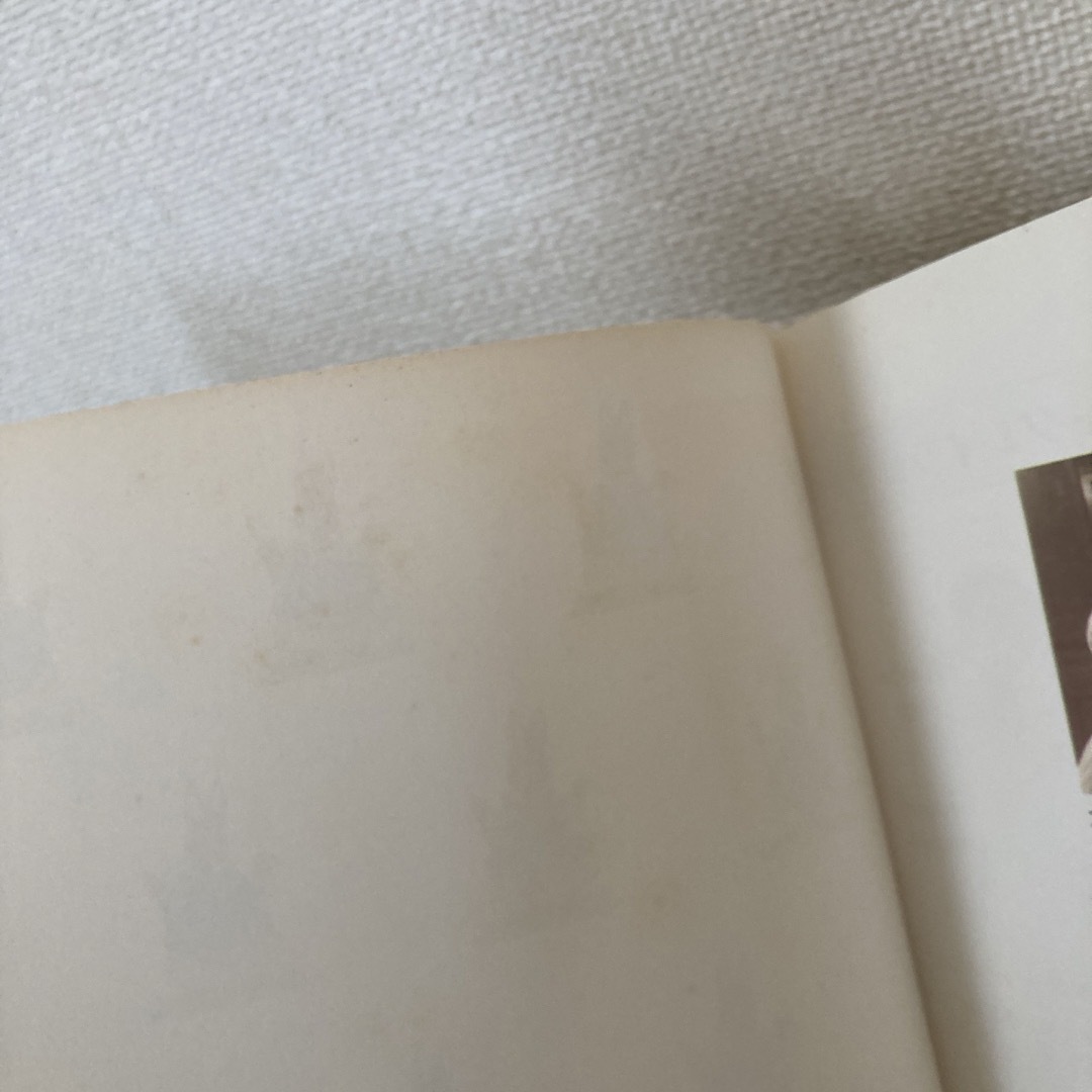 グレイラビットのたんじょう会 エンタメ/ホビーの本(絵本/児童書)の商品写真