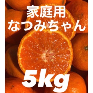 愛媛県産みかん なつみ 箱込5kg 柑橘 ミカン 果物(フルーツ)