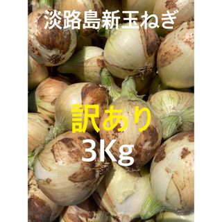 ☆訳あり3Kg☆淡路島新玉ねぎ　たまねぎ　玉葱(野菜)