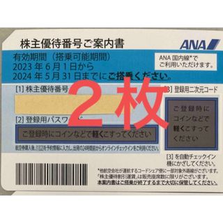 エーエヌエー(ゼンニッポンクウユ)(ANA(全日本空輸))のANA 全日空　株主優待券　2枚(その他)