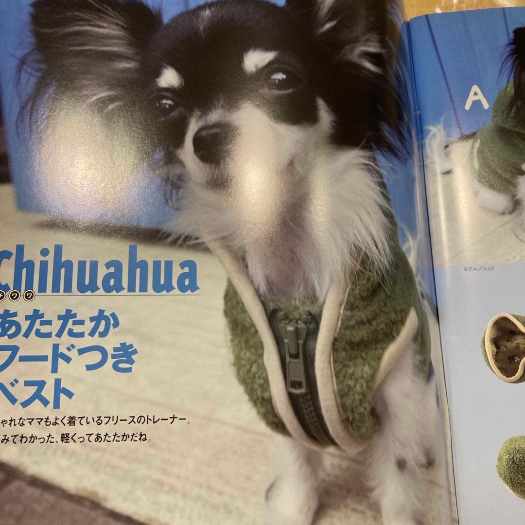 ぜったい着せたい！！　ｄｏｇウエア超小型犬 エンタメ/ホビーの本(趣味/スポーツ/実用)の商品写真