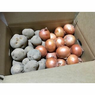 北海道産　ジャガイモとタマネギのセット　10kg　農家直送(野菜)