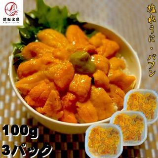 【良品】塩水うに　100ｇ×3パック　A級グレード　バフンウニ　海外産原料　冷蔵品　天然無添加　海水うに　うに　海鮮　うに丼　漁師さん応援　消費拡大　フードロス(魚介)