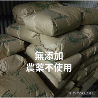 コシヒカリ 10kg×2 農薬不使用 玄米 国産 農家直送 美容 健康 無添加(米/穀物)