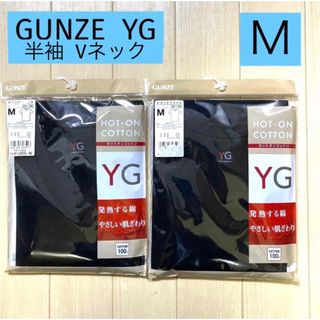 グンゼ(GUNZE)の★2/2【GUNZE 】グンゼVネックTシャツ M 2枚セット(Tシャツ/カットソー(半袖/袖なし))