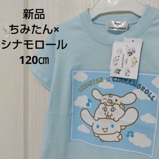 サンリオ - 新品☆120㎝ SANRIO ちみたん×シナモロール Tシャツ