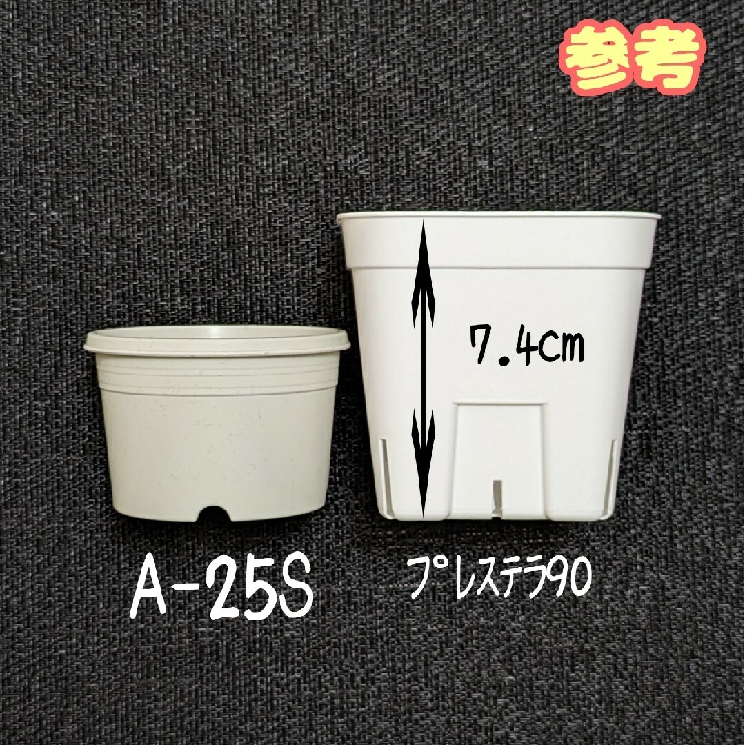 プラ鉢【A-25S】10個 スリット鉢 丸 プレステラ 多肉植物 ハンドメイドのフラワー/ガーデン(プランター)の商品写真