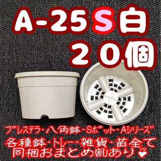 プラ鉢【A-25S】20個 スリット鉢 丸 プレステラ 多肉植物(プランター)