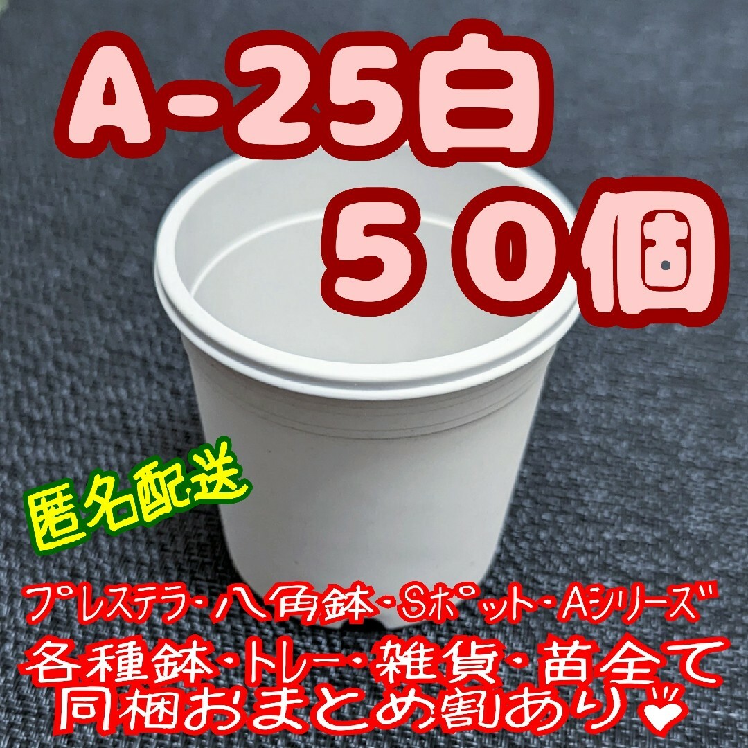 プラ鉢【A-25S】50個 スリット鉢 丸 プレステラ 多肉植物 ハンドメイドのフラワー/ガーデン(プランター)の商品写真