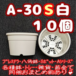 プラ鉢【A-30S】10個 スリット鉢 丸 プレステラ 多肉植物(プランター)
