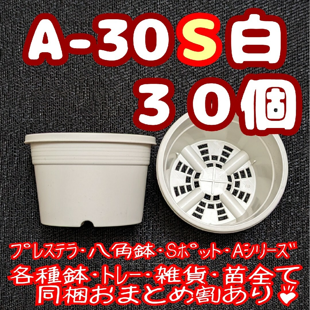 プラ鉢【A-30S】30個 スリット鉢 丸 プレステラ 多肉植物 ハンドメイドのフラワー/ガーデン(プランター)の商品写真