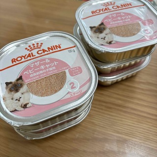 ロイヤルカナン(ROYAL CANIN)のロイヤルカナン　マザー&ベビーキャット　6缶セット(ペットフード)
