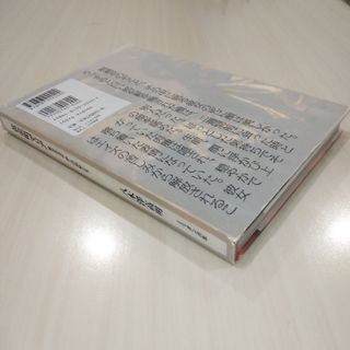 黄金町マリア : 横浜黄金町路上の娼婦たち(ノンフィクション/教養)