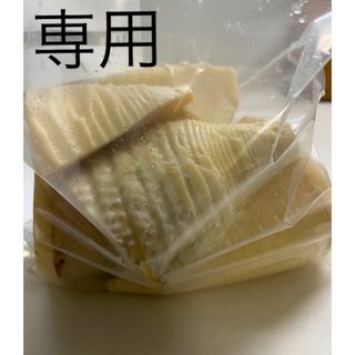 タケノコ　たけのこ　筍　水煮✨(野菜)