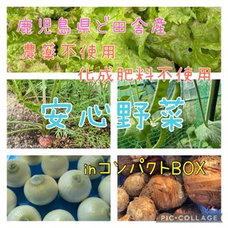 鹿児島県ど田舎産 安心野菜inコンパクトBOX♪(野菜)