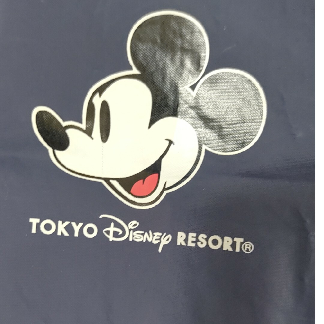 Disney(ディズニー)のTOKYO Disney RESORT ポンチョ カッパ キッズ/ベビー/マタニティのこども用ファッション小物(レインコート)の商品写真