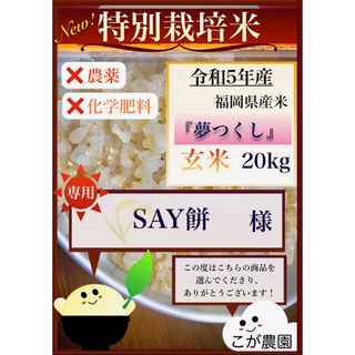 SAY餅様専用　福岡県産「夢つくし」令和５年産　玄米20kg(米/穀物)