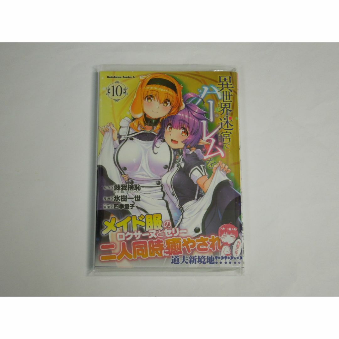 【専用】氷樹一世 異世界迷宮でハーレムを 10 初版(新品) エンタメ/ホビーの漫画(青年漫画)の商品写真