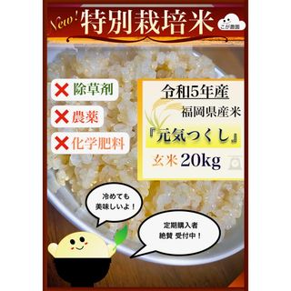 AZ SHOP様専用　福岡県産「元気つくし」令和５年産　玄米20kg(米/穀物)