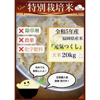 nojojojojo様専用　福岡県産「元気つくし」令和５年産　玄米20kg(米/穀物)