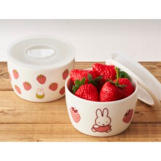 ミッフィー(miffy)のミッフィー フードストッカー 保存容器 タッパー 食器 (容器)