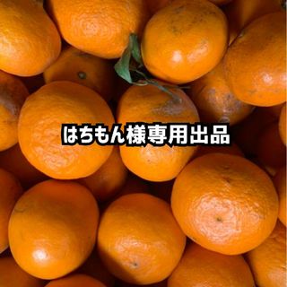 はちもん様専用出品(フルーツ)