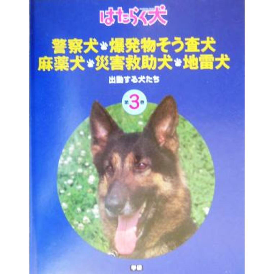 警察犬・麻薬犬・災害救助犬・爆発物そう査犬・地雷犬 出動する犬たち はたらく犬３／日本補助犬協会 エンタメ/ホビーの本(絵本/児童書)の商品写真