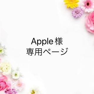 Apple様専用　ダイヤモンドアート　オーダーメイド　オーダー(その他)