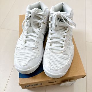 asics - [美品] アシックス　バスケットシューズ　20.5cm