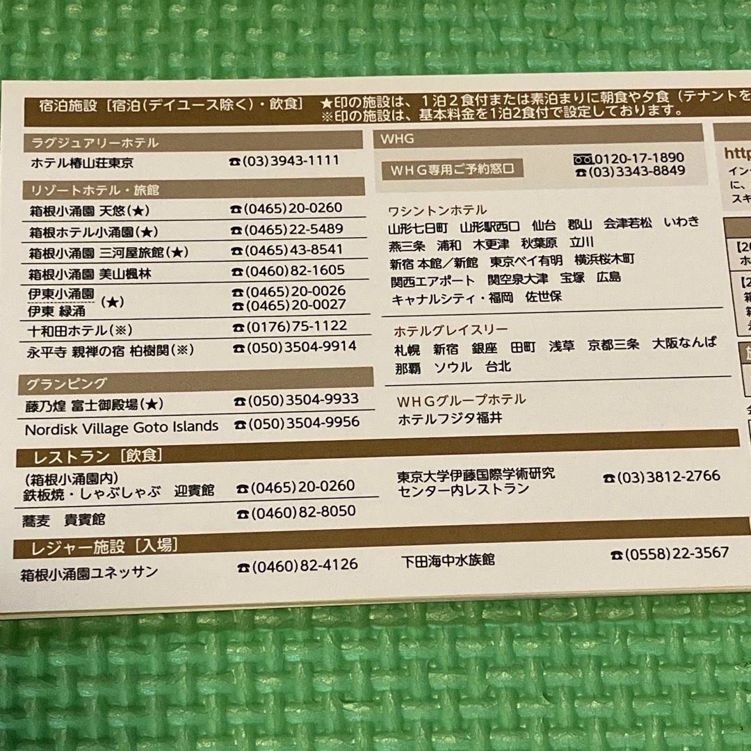 最新　藤田観光株主優待　日帰り施設利用券2枚+宿泊施設株主優待券20枚(送料込) チケットの施設利用券(その他)の商品写真