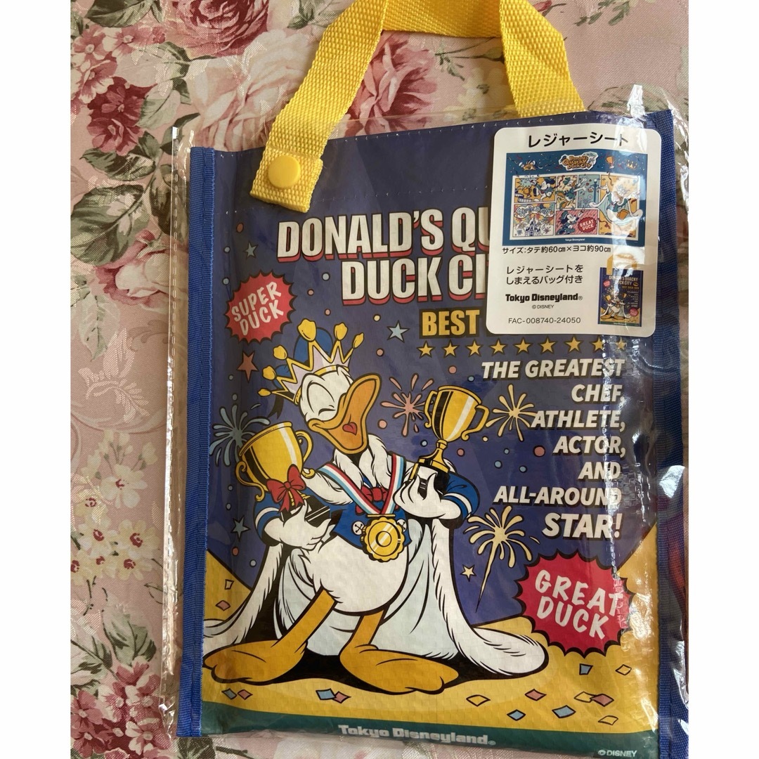 ドナルドダック(ドナルドダック)のドナルドパルパルーザ🐥クワッキーダックシティ🐥レジャーシート🐥カラフルチョコ🍫 エンタメ/ホビーのおもちゃ/ぬいぐるみ(キャラクターグッズ)の商品写真