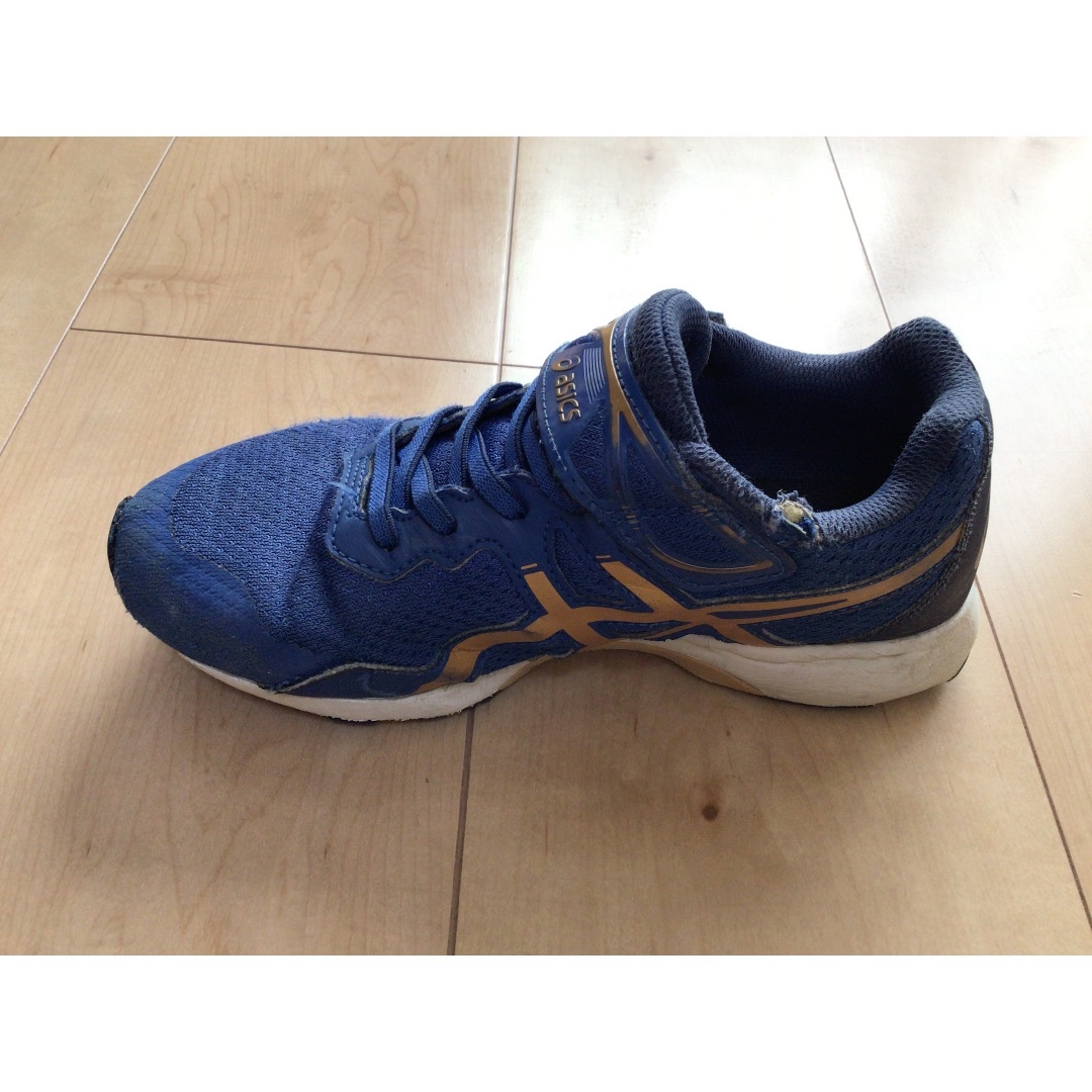 asics(アシックス)のアシックス  青 スニーカー 21センチ キッズ/ベビー/マタニティのキッズ靴/シューズ(15cm~)(スニーカー)の商品写真