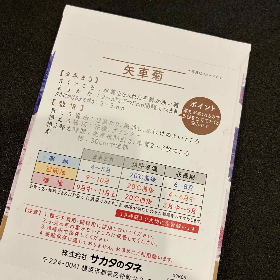 サカタのタネ(サカタノタネ)の② サカタのタネ 花の種 4袋 ネモフィラ 矢車菊 むぎなでしこ ひまわり ハンドメイドのフラワー/ガーデン(その他)の商品写真