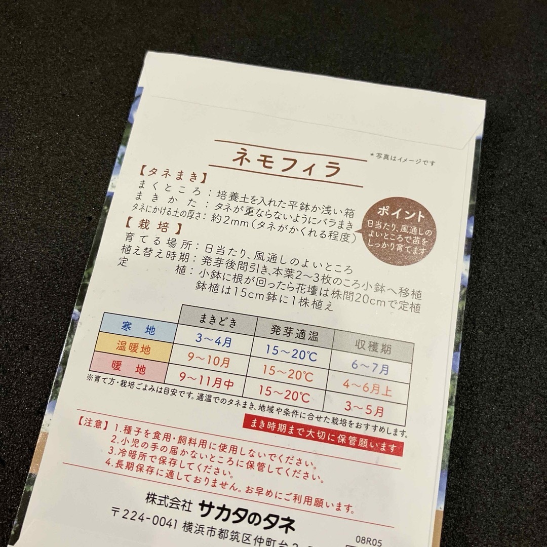 サカタのタネ(サカタノタネ)の② サカタのタネ 花の種 4袋 ネモフィラ 矢車菊 むぎなでしこ ひまわり ハンドメイドのフラワー/ガーデン(その他)の商品写真