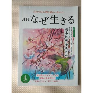 月刊 なぜ生きる 令和3年 4月号 1万年堂出版 (株)チューリップ企画 歎異抄(その他)