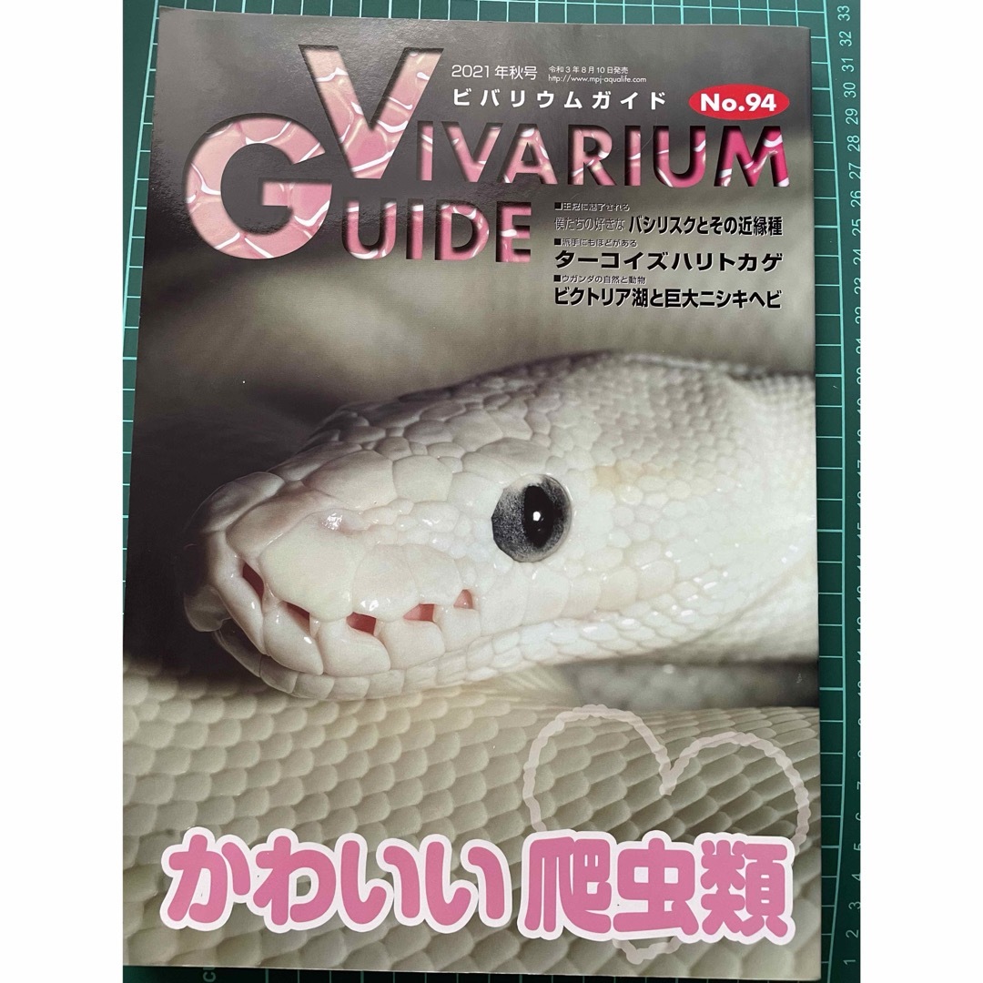 ビバリウムガイド 2021年 09月号 [雑誌] エンタメ/ホビーの雑誌(その他)の商品写真