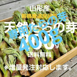 山形庄専用約400g(野菜)