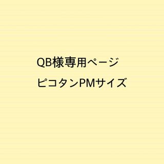 QB様専用ページピコタンPMサイズバッグインバッグ