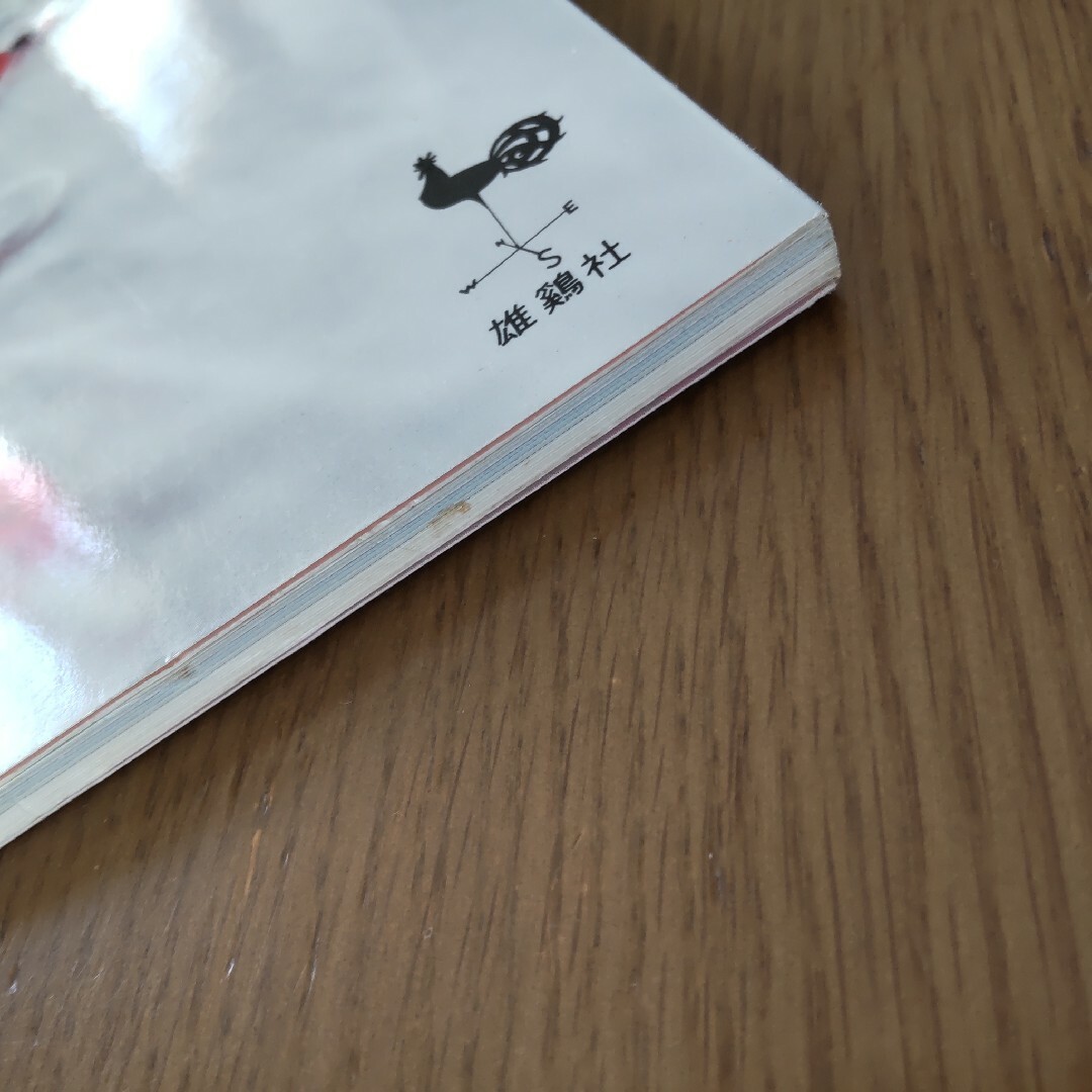 アジアンテイストのビ－ズアクセサリ－ エンタメ/ホビーの本(趣味/スポーツ/実用)の商品写真