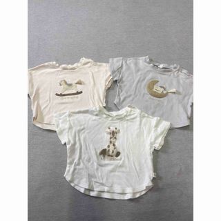 cottoli Tシャツ