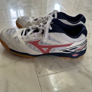 MIZUNO - 卓球シューズ25センチ