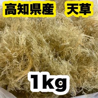 高知県産　白緑さらし天草　1kg  ところてん　寒天　天然テングサ　自然食品o(その他)