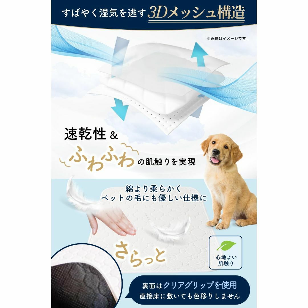 【瞬間吸水モデル × 動物看護士と開発】洗えるペットシーツ 2枚入り 犬猫兼用  その他のペット用品(犬)の商品写真