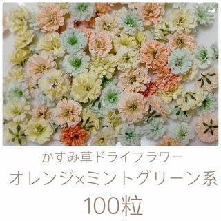 オレンジ×ミントグリーン系 かすみ草ドライフラワー100粒(ドライフラワー)