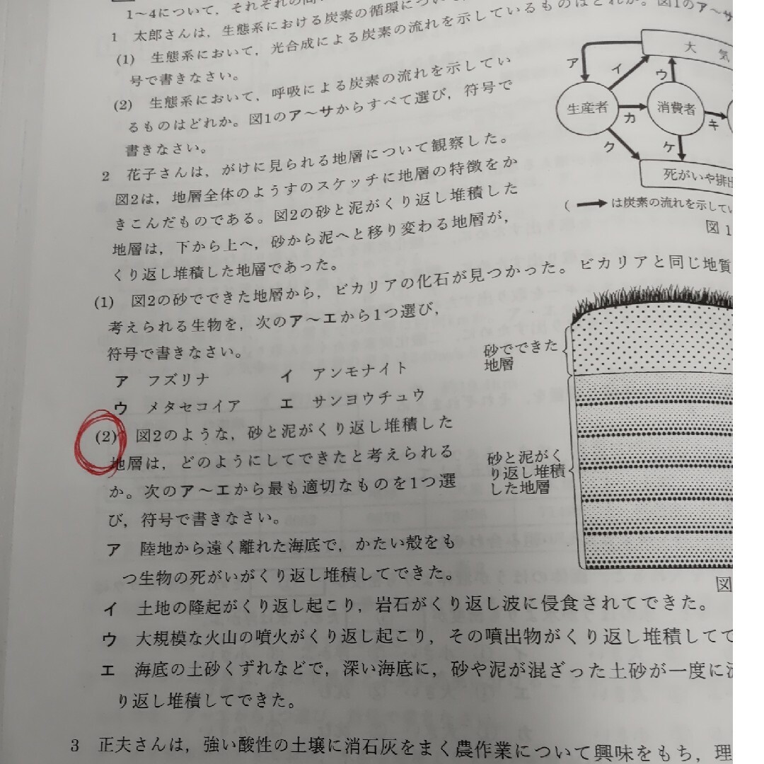 2024　岐阜県公立高校入試　分野別問題集 エンタメ/ホビーの本(語学/参考書)の商品写真