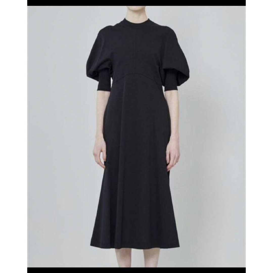 mame(マメ)のMame Kurogouchi Classic Cotton Dress  レディースのワンピース(ロングワンピース/マキシワンピース)の商品写真