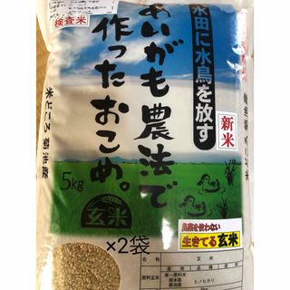 あいがも農法　無農薬　玄米10kg(野菜)